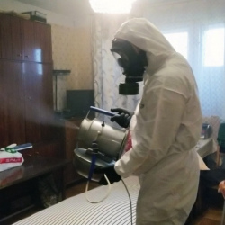 Дезинфекция от клопов в Долгопрудном