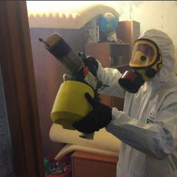 Уничтожение клопов в квартире. Долгопрудный